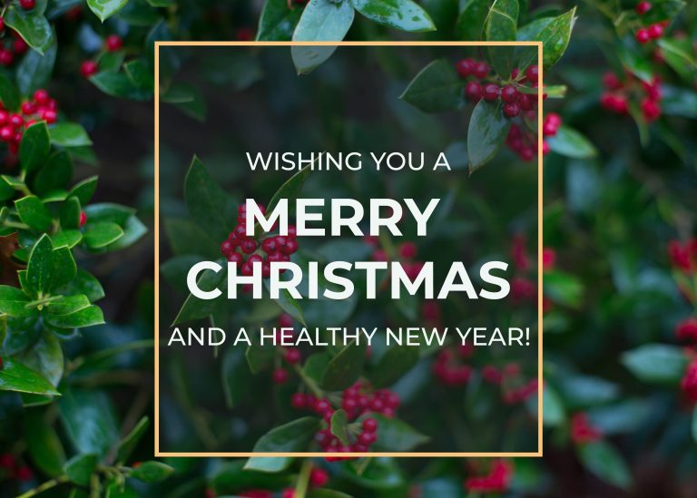 Merry Christmas and Happy New Year!