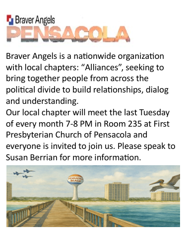 Braver Angels!