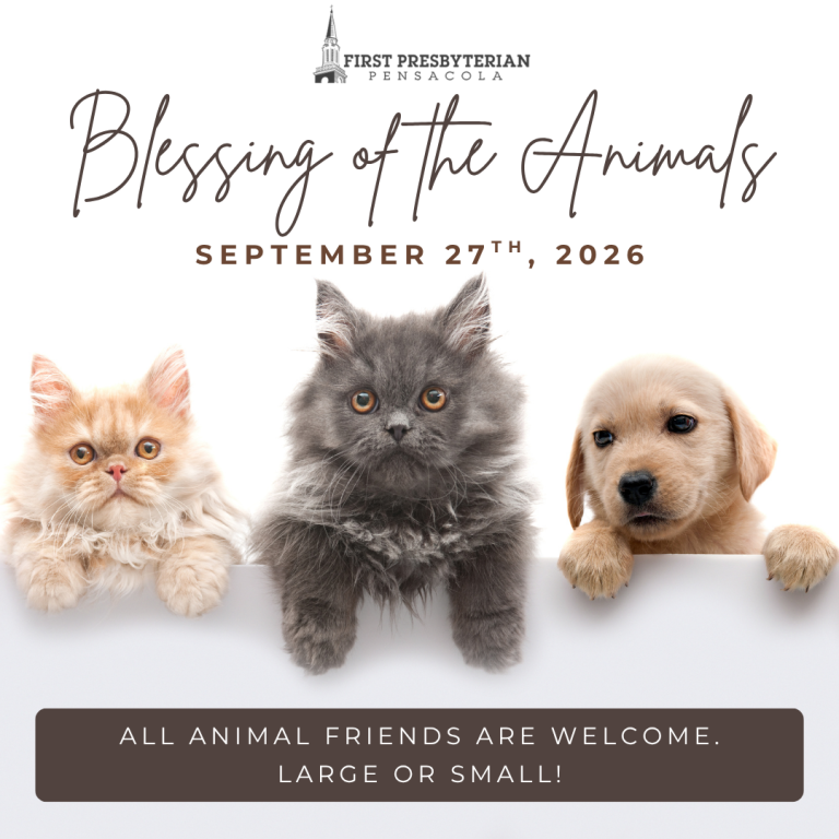 Blessing of the Animals!