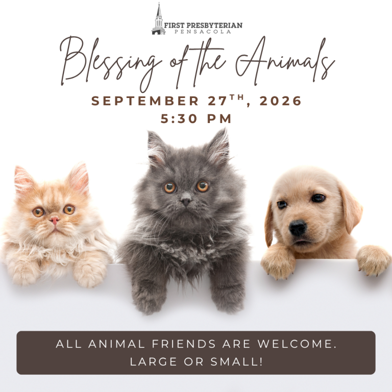 Blessing of the Animals!